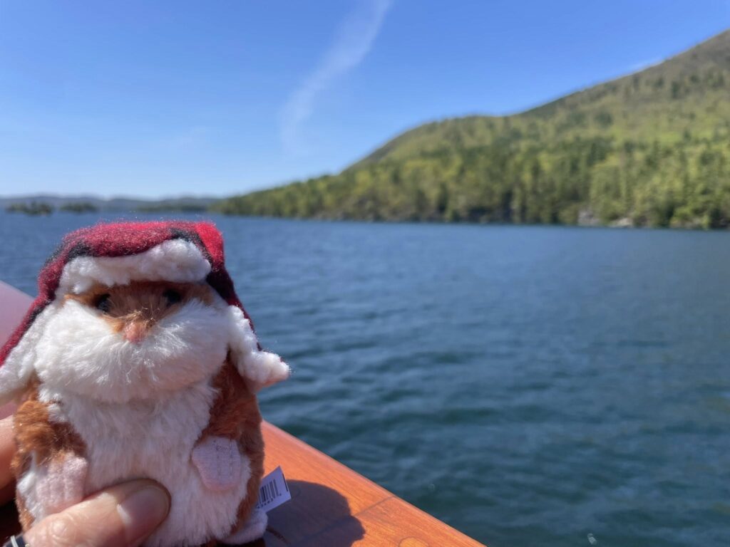 Herman on Lake George